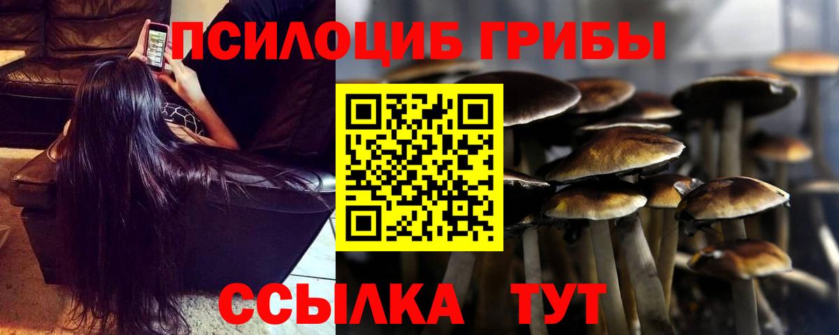 Псилоцибиновые грибы ЛСД  Вход с VPN  Гусев  Галлюциногенные грибы GOLDEN TEACHER 